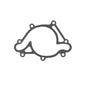 Cometic Gasket Automotive Chyrsler Magnum V8 .018 In AFM Water Pump Gasket